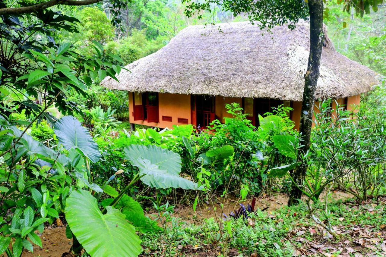 ホテル Panhou Retreat ハザン エクステリア 写真